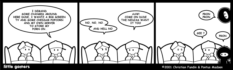 Ninjas learning
