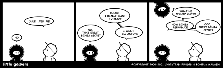 Great Ninja Secret
