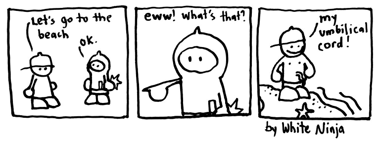 Guest Comic: White Ninja