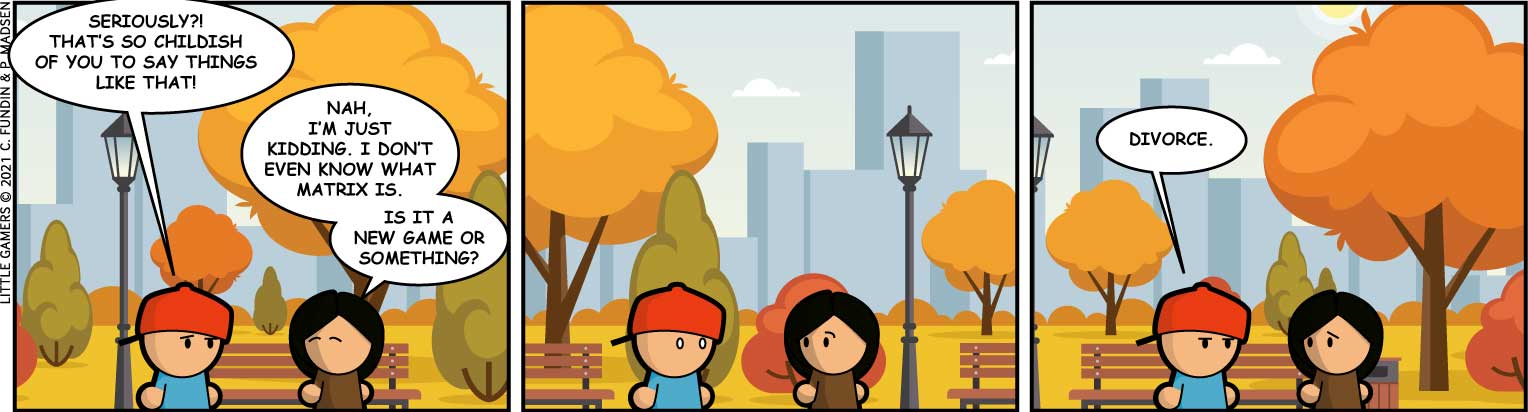 Reversible interchangeable ideas